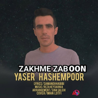 یاسر هاشم پور