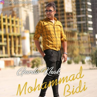 محمد بیدی
