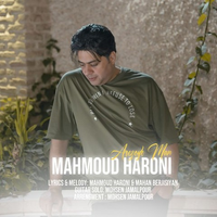 محمود هارونى