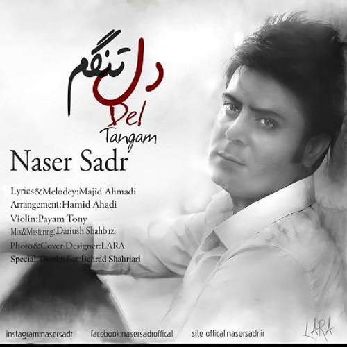 دانلود اهنگ جدید ناصر صدر به نام دلتنگم با ۲ کیفیت عالی و لینک مستقیم رایگان  از رسانه تاپ ریتم
