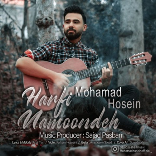 دانلود اهنگ جدید محمدحسین نظری به نام حرفی نمونده با ۲ کیفیت عالی و لینک مستقیم رایگان همراه با متن آهنگ حرفی نمونده از رسانه تاپ ریتم