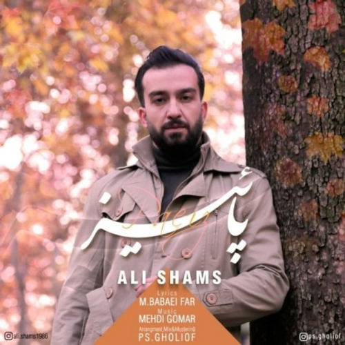 دانلود اهنگ جدید علی شمس به نام پاییز با ۲ کیفیت عالی و لینک مستقیم رایگان همراه با متن آهنگ پاییز از رسانه تاپ ریتم