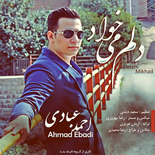 دانلود اهنگ جدید احمد عبادی به نام دلم میخواد با ۲ کیفیت عالی و لینک مستقیم رایگان  از رسانه تاپ ریتم