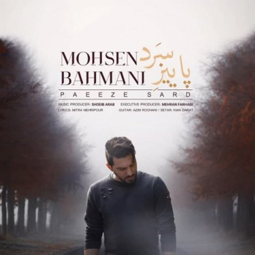 دانلود اهنگ جدید محسن بهمنی به نام پاییز سرد با ۲ کیفیت عالی و لینک مستقیم رایگان همراه با متن آهنگ پاییز سرد از رسانه تاپ ریتم