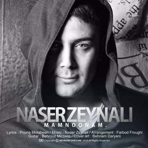 دانلود اهنگ جدید ناصر زینلی به نام ممنونم با ۲ کیفیت عالی و لینک مستقیم رایگان  از رسانه تاپ ریتم