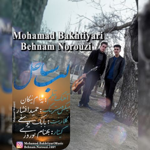 دانلود اهنگ جدید محمد بختیاری به نام بهنام نوروزی با ۲ کیفیت عالی و لینک مستقیم رایگان  از رسانه تاپ ریتم
