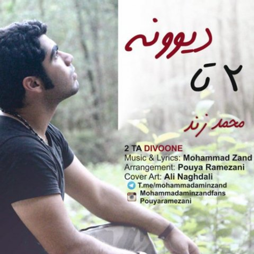 دانلود اهنگ جدید محمد زند به نام 2 تا دیوونه با ۲ کیفیت عالی و لینک مستقیم رایگان  از رسانه تاپ ریتم
