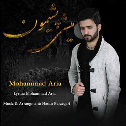 دانلود اهنگ جدید محمد آریا به نام پشیمون میشی با ۲ کیفیت عالی و لینک مستقیم رایگان  از رسانه تاپ ریتم