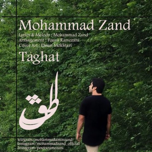 دانلود اهنگ جدید محمد زند به نام طاقت با ۲ کیفیت عالی و لینک مستقیم رایگان  از رسانه تاپ ریتم