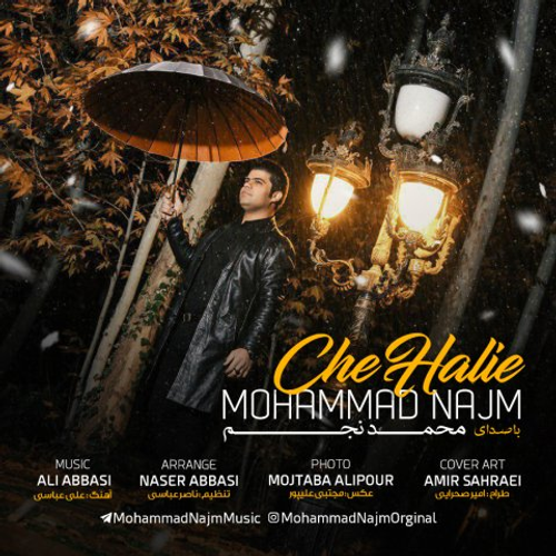 دانلود اهنگ جدید محمد نجم به نام چه حالیه با ۲ کیفیت عالی و لینک مستقیم رایگان  از رسانه تاپ ریتم
