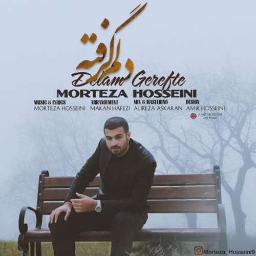 دانلود اهنگ جدید مرتضی حسینی به نام دلم گرفته با ۲ کیفیت عالی و لینک مستقیم رایگان  از رسانه تاپ ریتم