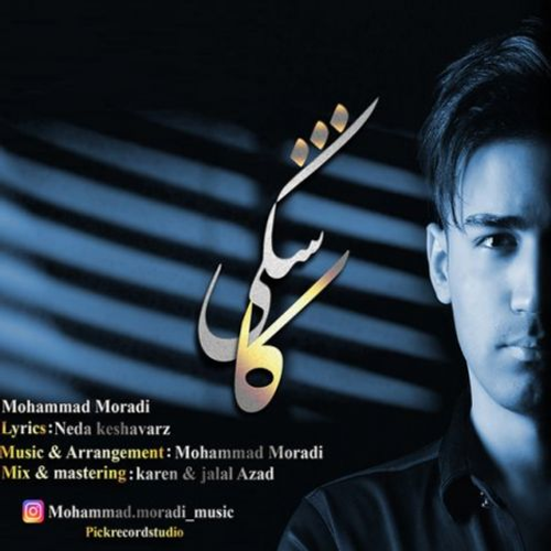 دانلود اهنگ جدید محمد مرادی به نام کاشکی با ۱ کیفیت عالی و لینک مستقیم رایگان  از رسانه تاپ ریتم