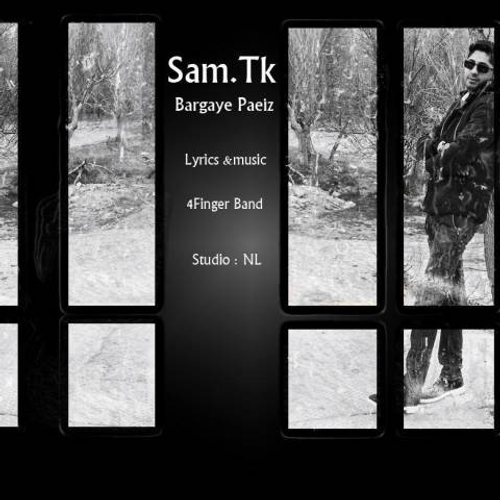 دانلود اهنگ جدید سام تی کی به نام برگ های پاییز با ۲ کیفیت عالی و لینک مستقیم رایگان  از رسانه تاپ ریتم