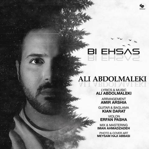 دانلود اهنگ جدید علی عبدالمالکی به نام بی احساس با ۲ کیفیت عالی و لینک مستقیم رایگان  از رسانه تاپ ریتم