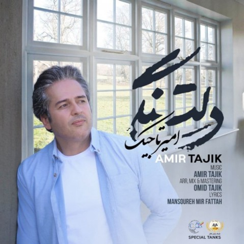 دانلود اهنگ جدید امیر تاجیک به نام دلتنگی با ۲ کیفیت عالی و لینک مستقیم رایگان همراه با متن آهنگ دلتنگی از رسانه تاپ ریتم