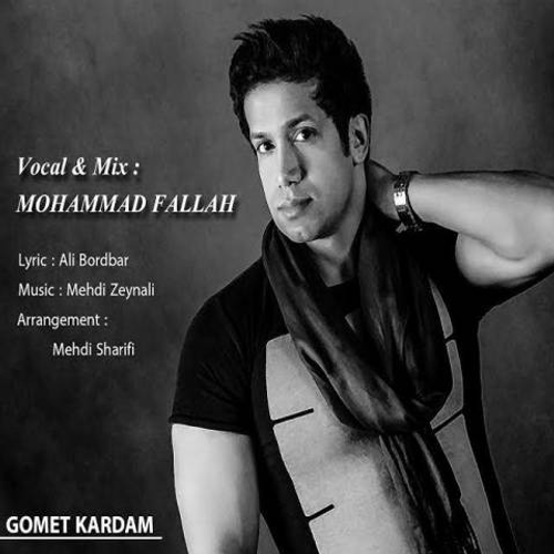 دانلود اهنگ جدید محمد فلاح به نام گمت کردم با ۲ کیفیت عالی و لینک مستقیم رایگان  از رسانه تاپ ریتم