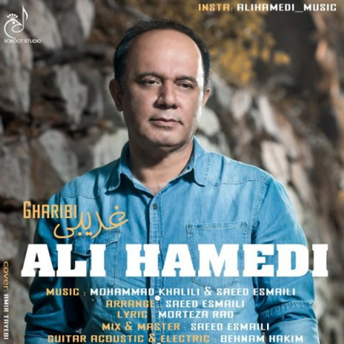 دانلود اهنگ جدید علی حامدی به نام غریبی با ۲ کیفیت عالی و لینک مستقیم رایگان  از رسانه تاپ ریتم