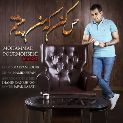 دانلود اهنگ جدید محمد پورمحسنی به نام حس کن که من پیشتم با ۲ کیفیت عالی و لینک مستقیم رایگان  از رسانه تاپ ریتم