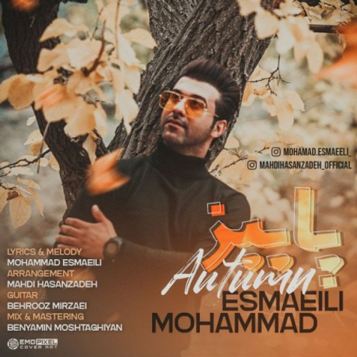 دانلود اهنگ جدید محمد اسماعیلی به نام پاییز با ۲ کیفیت عالی و لینک مستقیم رایگان همراه با متن آهنگ پاییز از رسانه تاپ ریتم