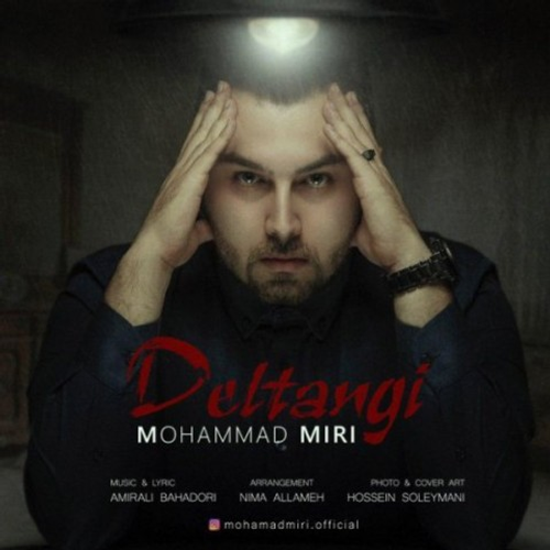 دانلود اهنگ جدید محمد میری به نام دلتنگی با ۲ کیفیت عالی و لینک مستقیم رایگان  از رسانه تاپ ریتم
