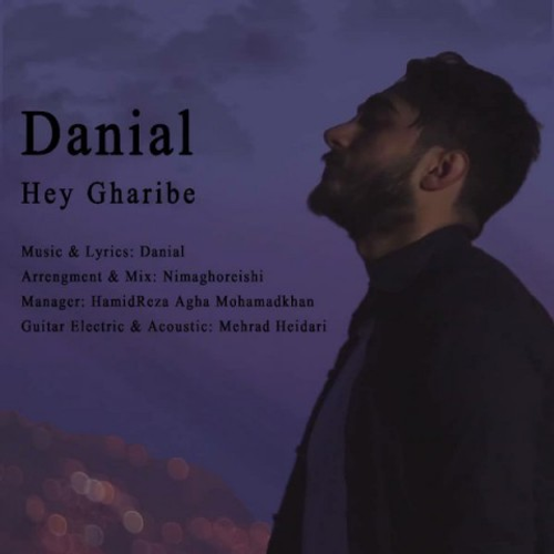 دانلود اهنگ جدید دانیال به نام هی غریبه با ۲ کیفیت عالی و لینک مستقیم رایگان  از رسانه تاپ ریتم