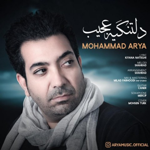 دانلود اهنگ جدید محمد آریا به نام دلتنگیه عجیب با ۲ کیفیت عالی و لینک مستقیم رایگان  از رسانه تاپ ریتم