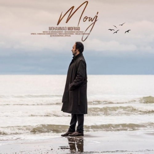 دانلود اهنگ جدید محمد مفرد به نام موج با ۲ کیفیت عالی و لینک مستقیم رایگان  از رسانه تاپ ریتم