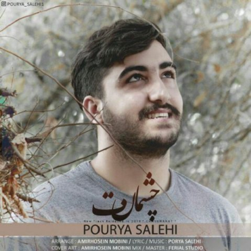 دانلود اهنگ جدید پوریا صالحی به نام چشمات با ۲ کیفیت عالی و لینک مستقیم رایگان  از رسانه تاپ ریتم