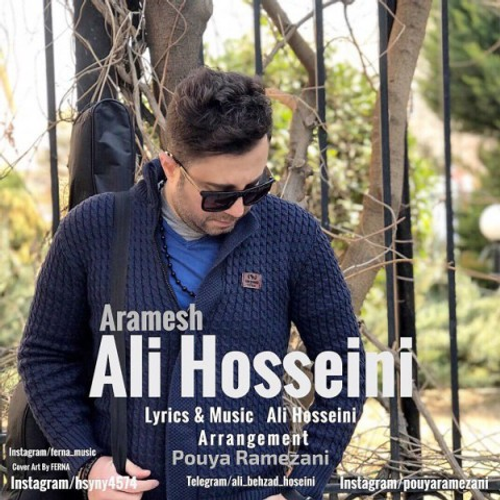 دانلود اهنگ جدید علی حسینی به نام آرامش با ۲ کیفیت عالی و لینک مستقیم رایگان  از رسانه تاپ ریتم