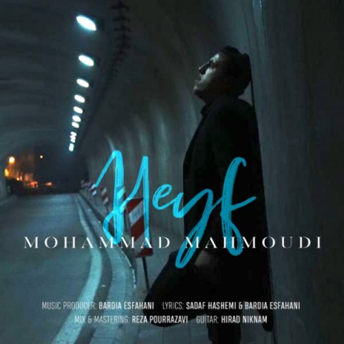 دانلود اهنگ جدید محمد محمودی به نام حیف با ۲ کیفیت عالی و لینک مستقیم رایگان  از رسانه تاپ ریتم