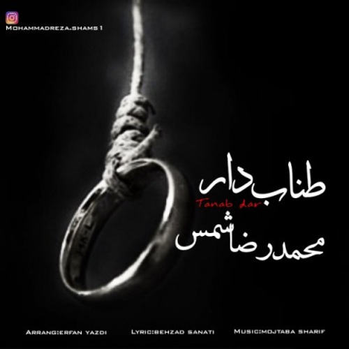 دانلود اهنگ جدید محمدرضا شمس به نام طناب دار با ۲ کیفیت عالی و لینک مستقیم رایگان  از رسانه تاپ ریتم