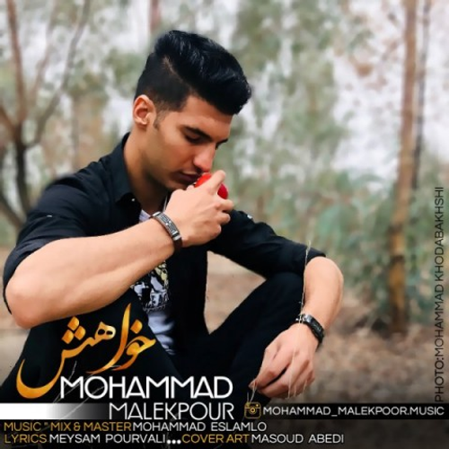 دانلود اهنگ جدید محمد ملک پور به نام خواهش با ۲ کیفیت عالی و لینک مستقیم رایگان  از رسانه تاپ ریتم