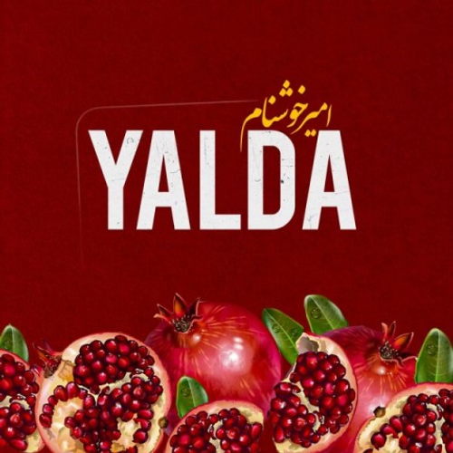 دانلود اهنگ جدید امیر خوشنام به نام یلدا با ۲ کیفیت عالی و لینک مستقیم رایگان  از رسانه تاپ ریتم