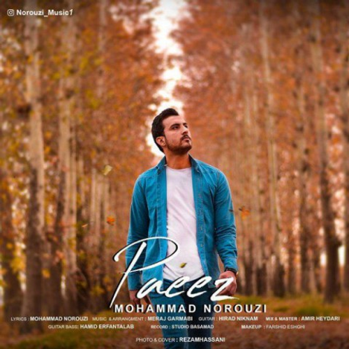 دانلود اهنگ جدید محمد نوروزی به نام پاییز با ۲ کیفیت عالی و لینک مستقیم رایگان  از رسانه تاپ ریتم