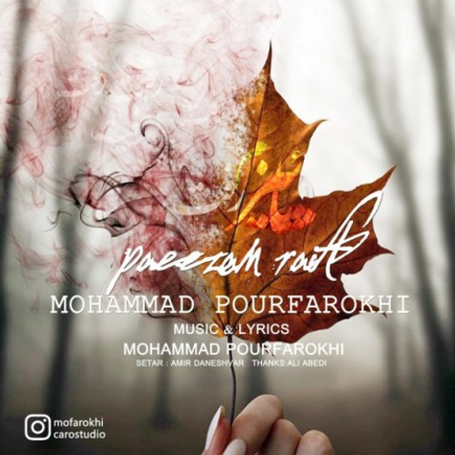 دانلود اهنگ جدید محمد پورفرخی به نام پاییزم رفت با ۲ کیفیت عالی و لینک مستقیم رایگان  از رسانه تاپ ریتم