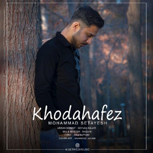 دانلود اهنگ جدید محمد ستایش به نام خداحافظ با ۲ کیفیت عالی و لینک مستقیم رایگان  از رسانه تاپ ریتم