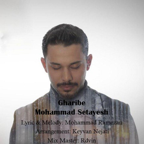 دانلود اهنگ جدید محمد ستایش به نام غریبه با ۲ کیفیت عالی و لینک مستقیم رایگان  از رسانه تاپ ریتم