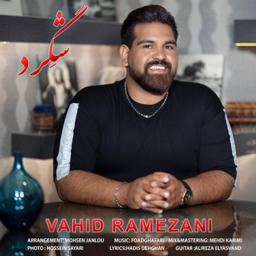 دانلود اهنگ جدید وحید رمضانی به نام شگرد با ۲ کیفیت عالی و لینک مستقیم رایگان  از رسانه تاپ ریتم
