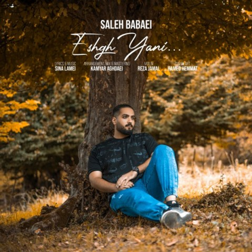 دانلود اهنگ جدید صالح بابایی به نام عشق یعنی با ۲ کیفیت عالی و لینک مستقیم رایگان همراه با متن آهنگ عشق یعنی از رسانه تاپ ریتم