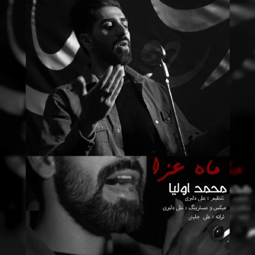 دانلود اهنگ جدید محمد اولیا به نام ماه عزا با ۲ کیفیت عالی و لینک مستقیم رایگان  از رسانه تاپ ریتم