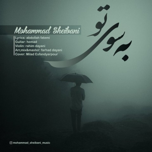 دانلود اهنگ جدید محمد شیبانی به نام به سوی تو با ۲ کیفیت عالی و لینک مستقیم رایگان  از رسانه تاپ ریتم