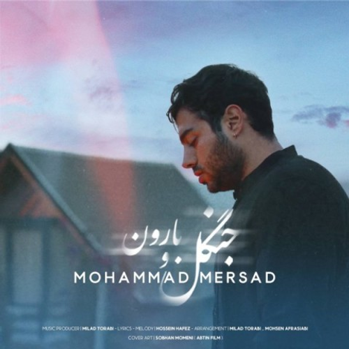 دانلود اهنگ جدید محمد مرصاد به نام جنگل و بارون با ۲ کیفیت عالی و لینک مستقیم رایگان  از رسانه تاپ ریتم